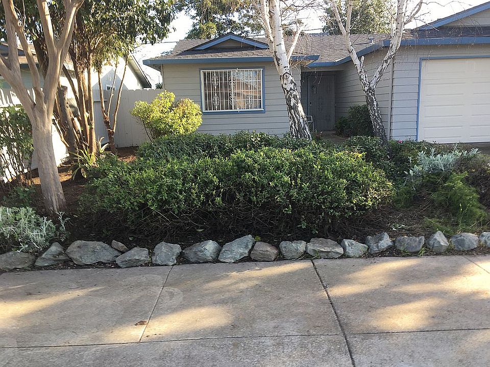 Front yard new gray roof