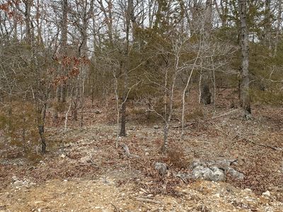 000 Lot 96 Summer Breeze Lane, Kimberling City, MO, 65686