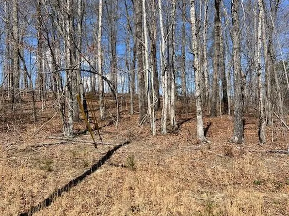 LOT 14 Street Place Loop, Monterey, TN 38574