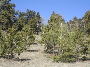 296 Stacker Dr, Hartsel, CO 80449