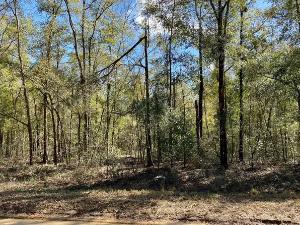 LOT 22 NW Evergreen Oak Pl #22, Jennings, FL 32053