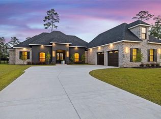 24135 Snowy Egret Cv, Springfield, LA 70462