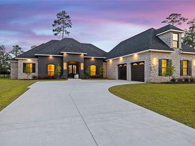 24135 Snowy Egret Cv, Springfield, LA, 70462