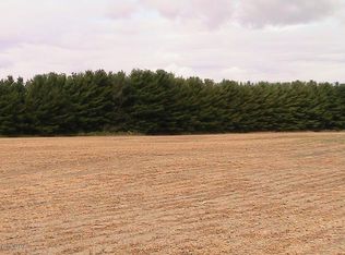 County Road 2, Barrett, MN 56311