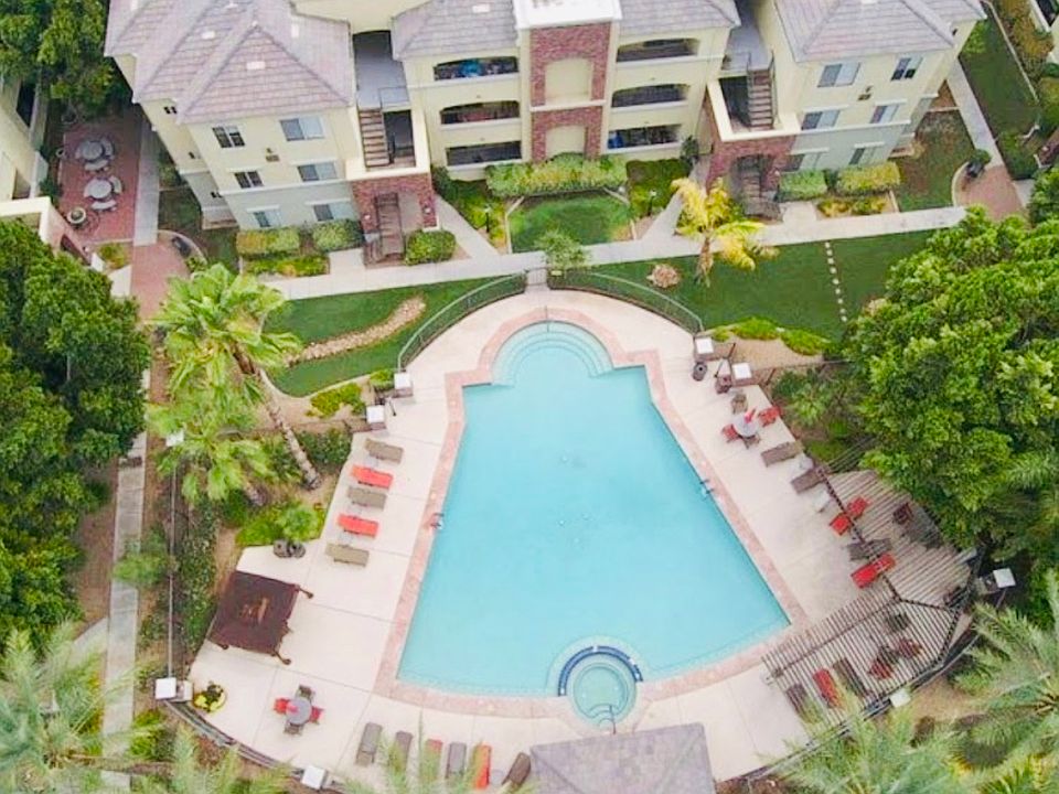 Pool, hot tub and lots of loungers