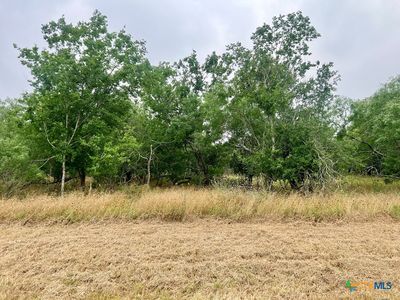 4 Wisteria Ln, Smiley, TX, 78159