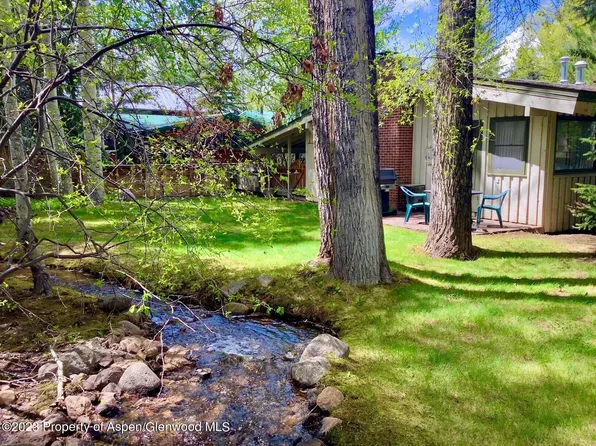 919 Waters Ave, Aspen, CO 81611
