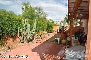 back yard