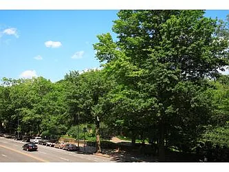 Rented by Domus Realty