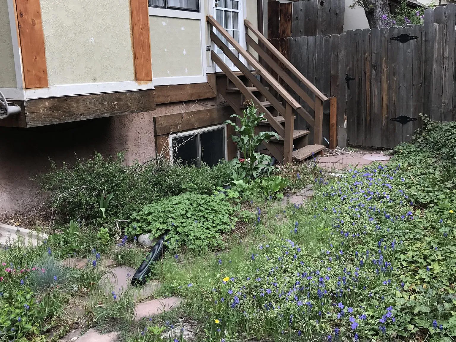 3 bed, 3.5 bath, 1783 sqft, $3,000 — Photo 2