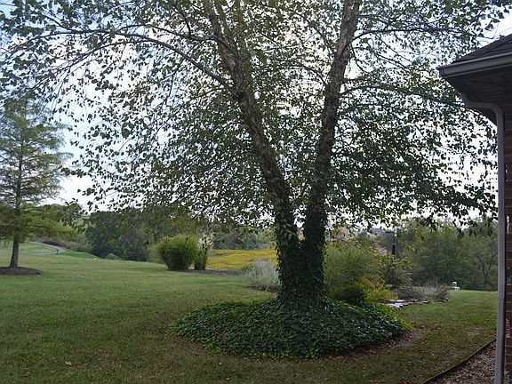 5th image of 248 River Run Dr