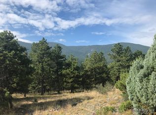 2201 Magnolia Dr, Nederland, CO 80466