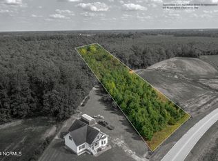 2707 Nathan Hill Rd, Deep Run, NC 28525