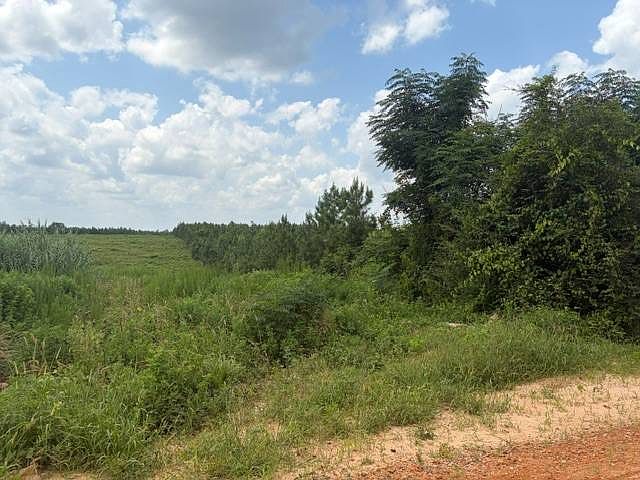 2nd image of 0 Pond Creek Rd #1