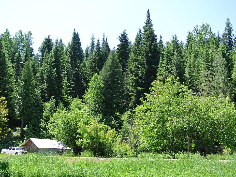 1st image of 46 Wapiti Lane