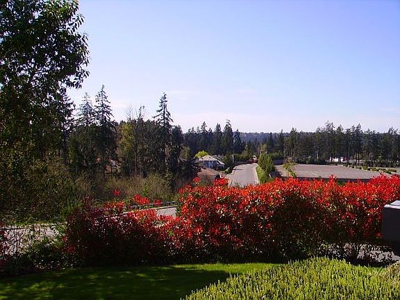 Beautiful landscape for your enjoyment