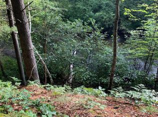 N Steelhead Dr, Irons, MI 49644