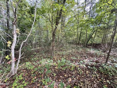 90 Owls Cove Way Lot 90, Sevierville, TN, 37862