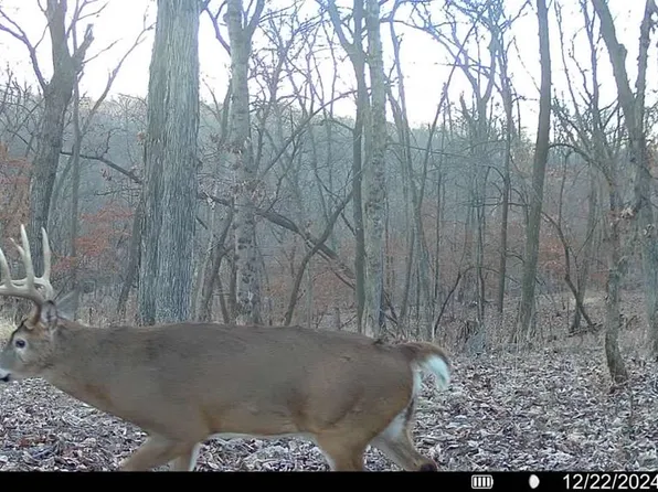 0 Livingston County Rd #406, Mooresville, MO 64664