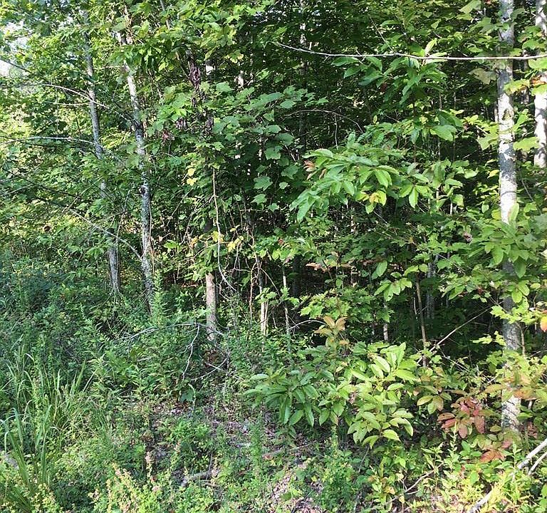 1st image of LOT 76 Parkstown Rd