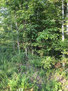 LOT 76 Parkstown Rd, Wilder, TN, 38589