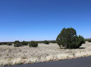 7668 Arroyo Plata Drive #9, Show Low, AZ 85901