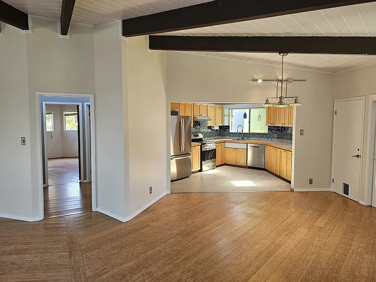 Living room and kitchen