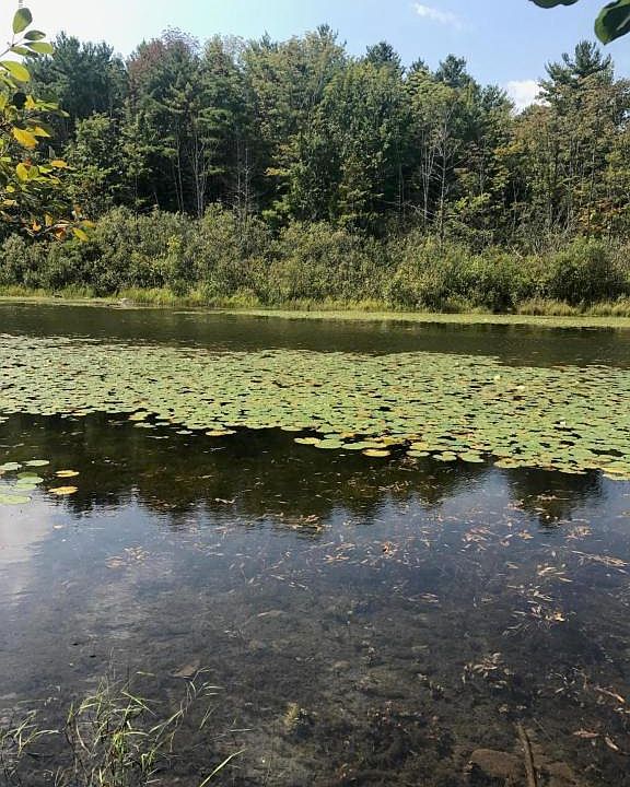 2nd image of 9 Lakeview Dr