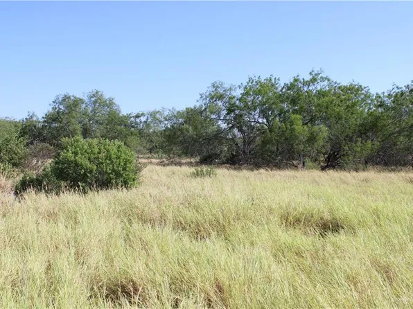 0 Mile 14 Rd, Rio Grande City, TX 78582