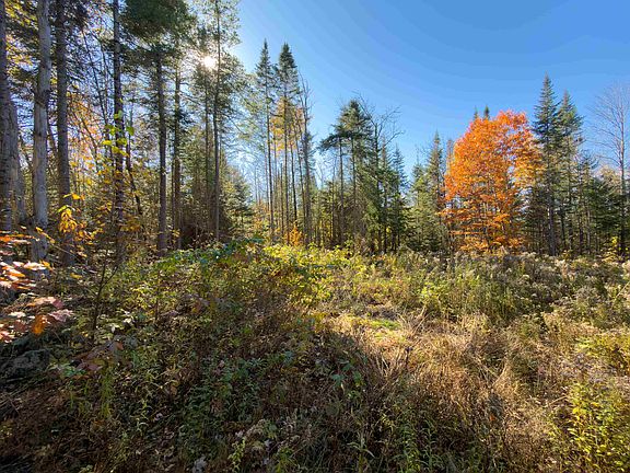 5th image of 40 Bear Paw Trail