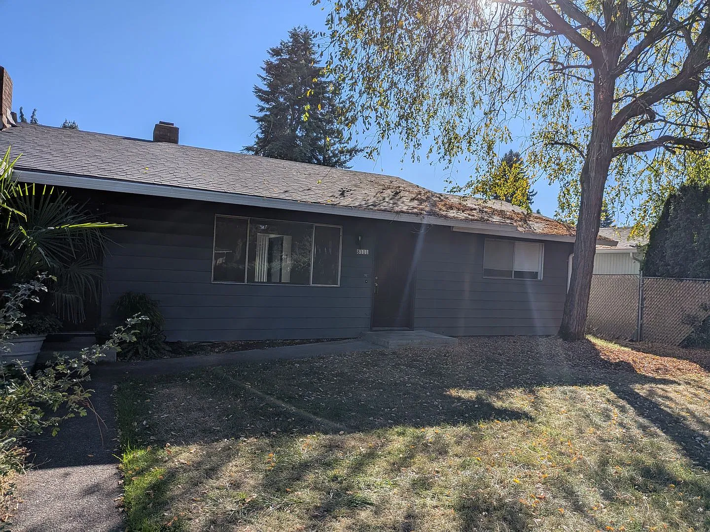 WA811 — Photo 4