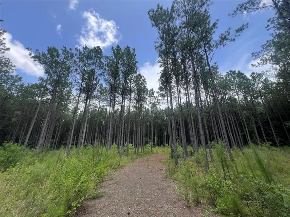 1690 Fm 1751, San Augustine, TX 75972