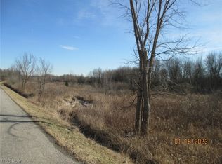 Risher Rd, Leavittsburg, OH 44430