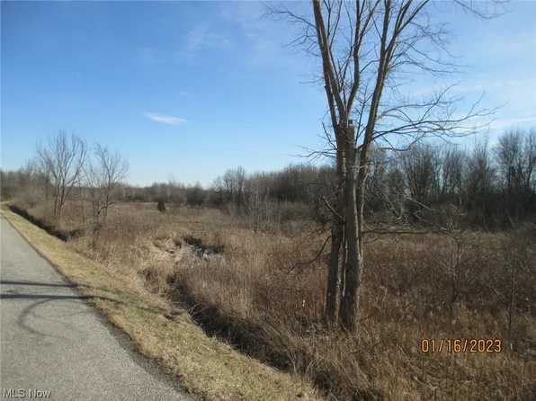 Risher Rd, Leavittsburg, OH 44430