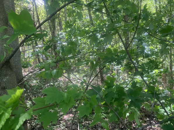 431 Lauren Ln #27, Westmoreland, TN 37186