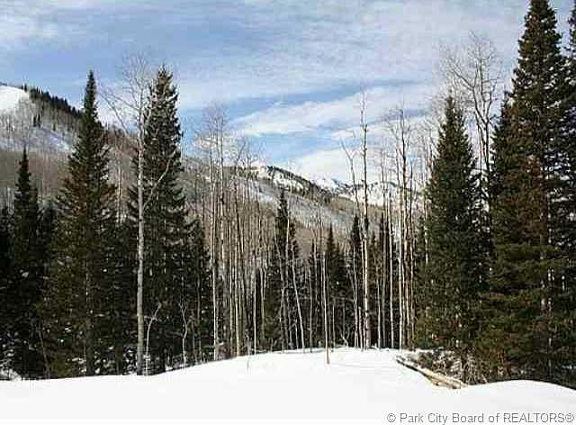 1st image of 214 White Pine Canyon Rd #214