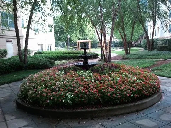 City Plaza — Photo 3