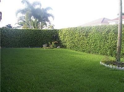 3rd image of 630 Nandina Dr