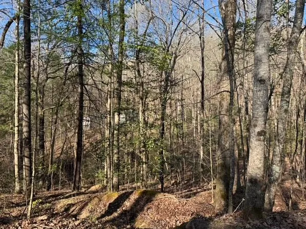 0 Robin Rd, Murphy, NC 28906