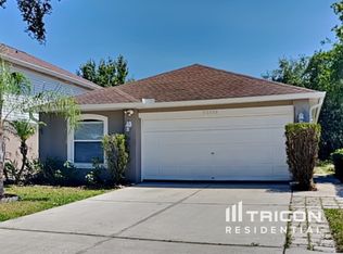 30308 Double Dr, Wesley Chapel, FL 33545