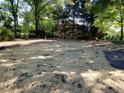 503 Young Ave, Chattanooga, TN, 37405