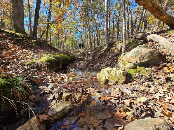 107 Railroad Ln, Doe Run, MO 63637