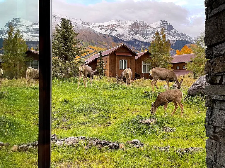 Window View