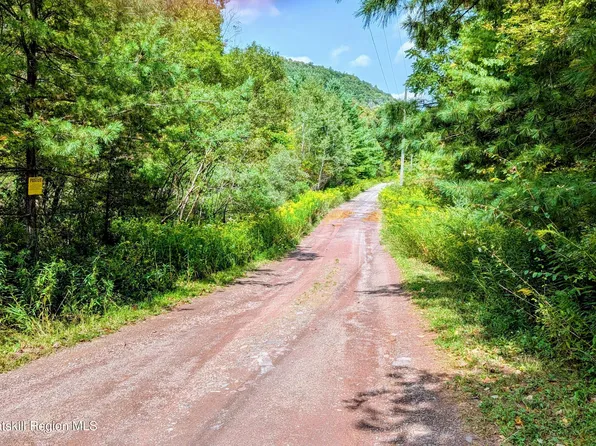 2 Cohen Road, Prattsville, NY 12468