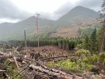 4 XX Cayada Creek Road - USFS 7810, Wilkeson, WA, 98396
