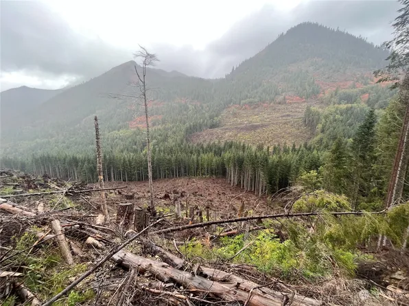 4 XX Cayada Creek Road - USFS 7810, Carbonado, WA 98396