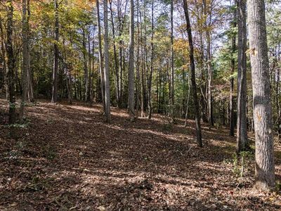 L21 & 22 Eastridge Ct, Blairsville, GA, 30512