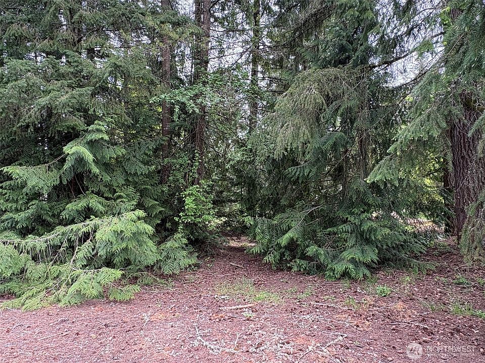 2nd image of 110 Rainier Court