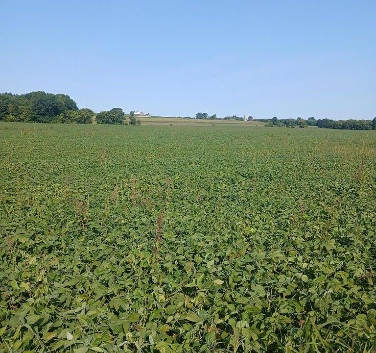 2nd image of Lt0 COUNTY ROAD T