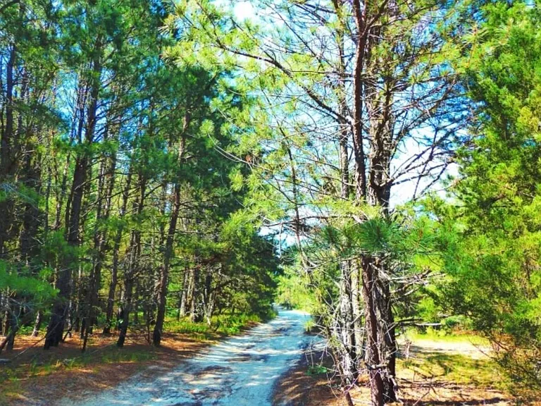 trail in Winslow fish and wildlife